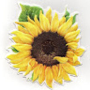 Meet your Posher, Jolene